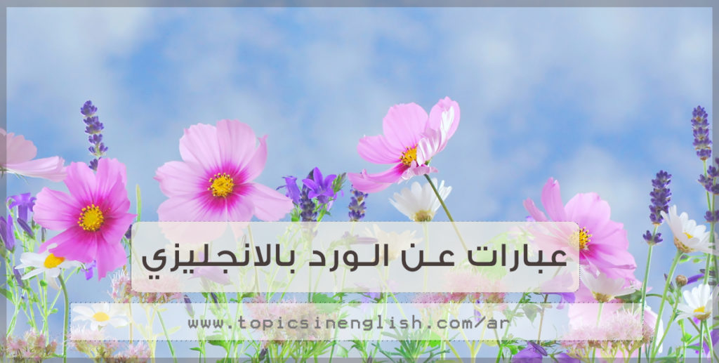 عبارات عن الورد الجوري تويتر Aiqtabas Blog