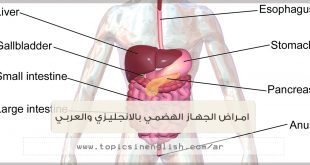 امراض الجهاز الهضمي بالانجليزي والعربي