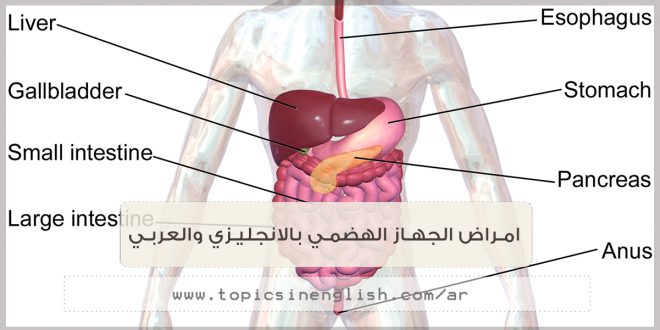 امراض الجهاز الهضمي بالانجليزي والعربي