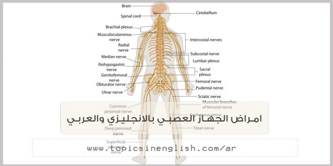 امراض الجهاز العصبي بالانجليزي والعربي