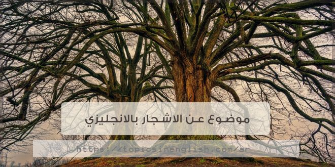 موضوع عن الاشجار بالانجليزي مواضيع باللغة الانجليزية