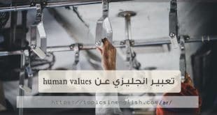 تعبير انجليزي عن human values