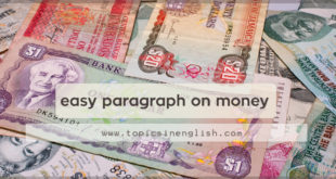easy paragraph on money