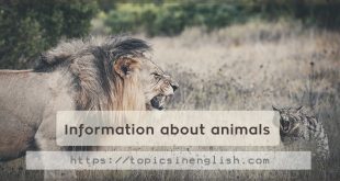 Information about animals