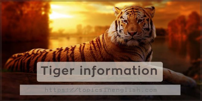 Tiger information
