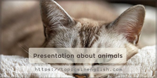 Presentation about animals