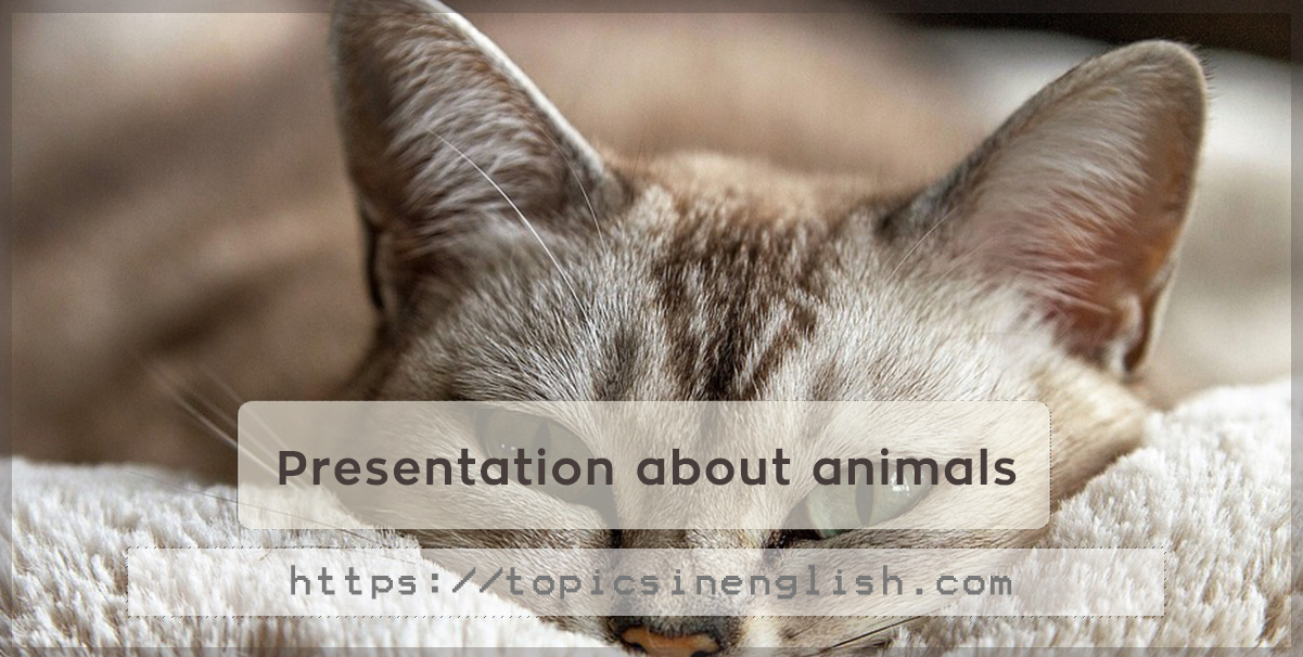 Presentation about animals | Topics in English