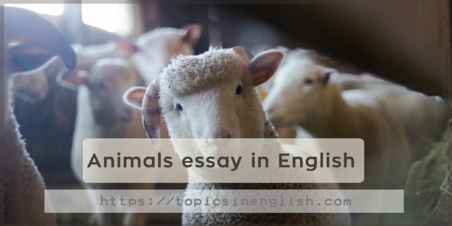 Animals essay in English