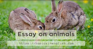 Essay on animals