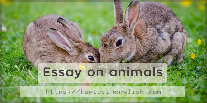 Essay on animals | Topics in English