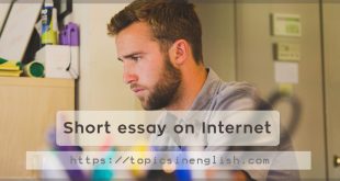 Short essay on Internet