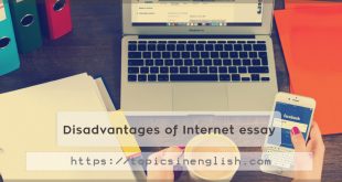 Disadvantages of Internet essay