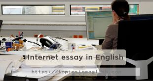 Internet essay in English
