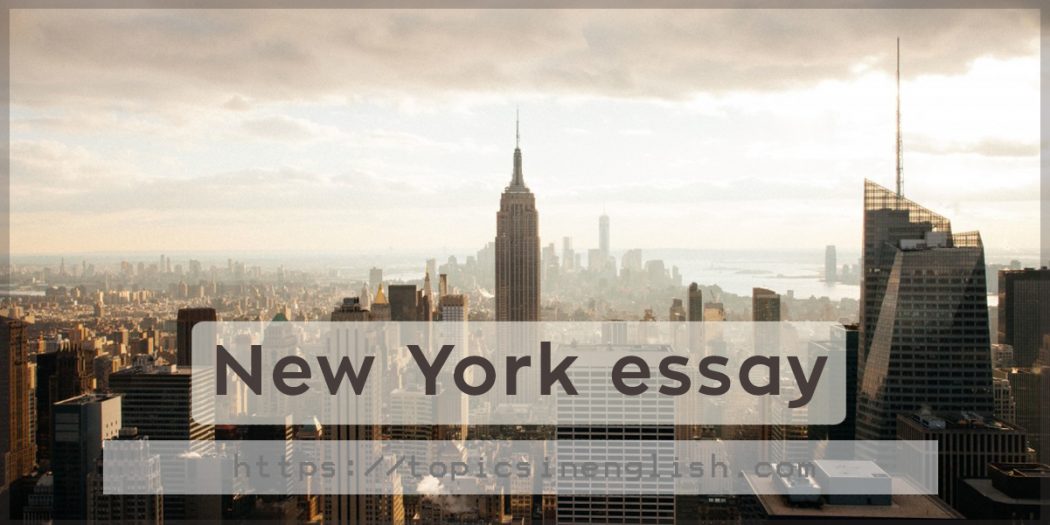my trip to new york essay
