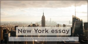 introduction of an essay about new york city