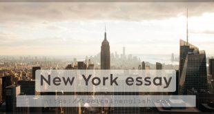 New York essay