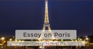 Essay on Paris