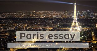 Paris essay