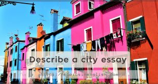 Describe a city essay