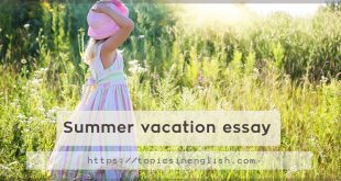 Summer vacation essay