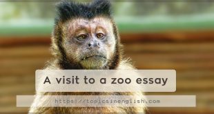 A visit to a zoo essay