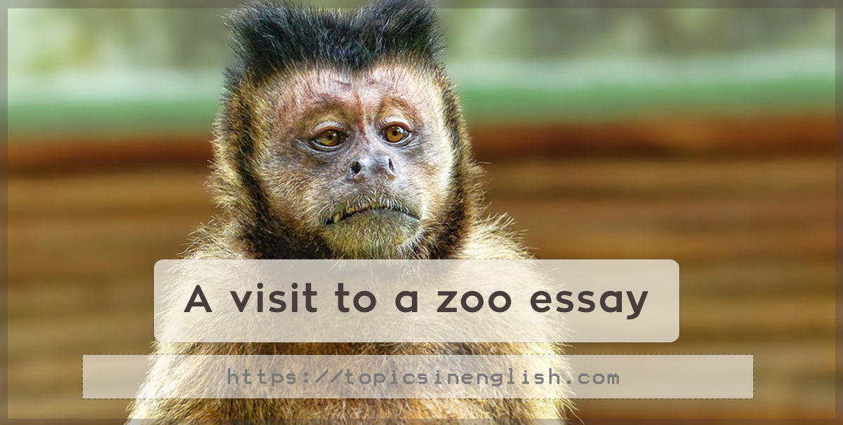 essay about zoo negara