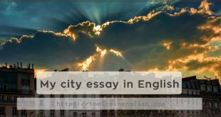 My city essay in English