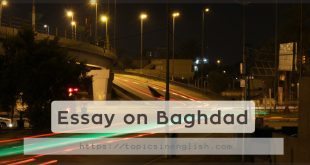Essay on Baghdad