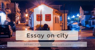 Essay on city