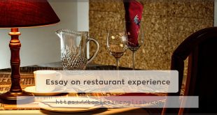 Essay on restaurant experience
