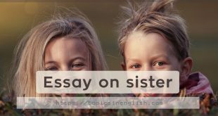 Essay on sister