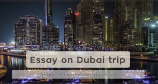 Essay on Dubai trip
