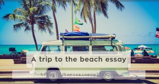 A trip to the beach essay