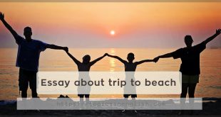 Essay about trip to beach