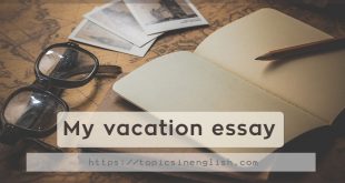 My vacation essay
