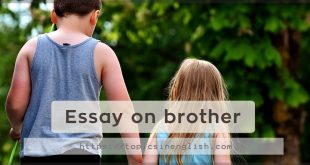 Essay on brother