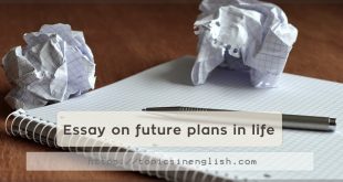 Essay on future plans in life