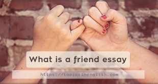 What is a friend essay