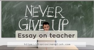 Essay on teacher