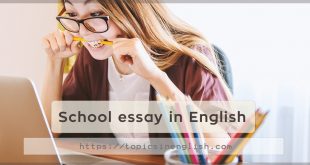 School essay in English