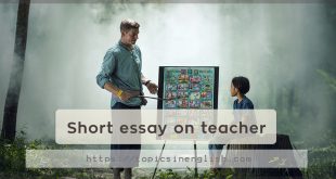 Short essay on teacher