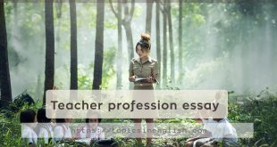 Teacher profession essay