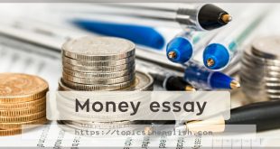 Money essay