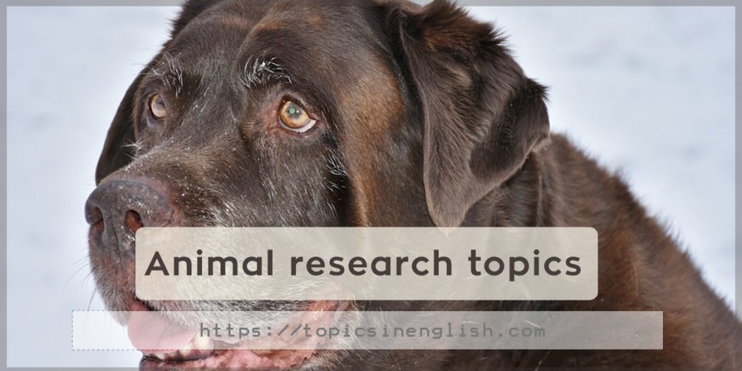 research topics with animals