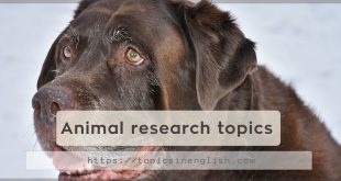 Animal research topics
