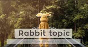 Rabbit topic