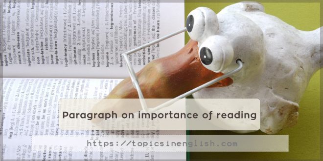 Paragraph on importance of reading