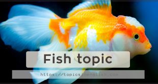 Fish topic