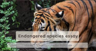 Endangered species essay