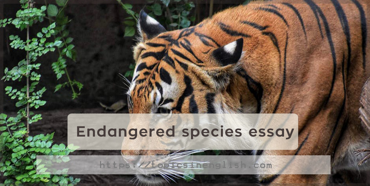 essay on endangered animals 150 words